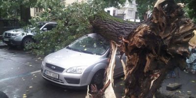 Strazi si locuinte inundate in Bucuresti din cauza ploii torentiale. Un copac a cazut pe un autoturism pe Bulevardul Basarabia